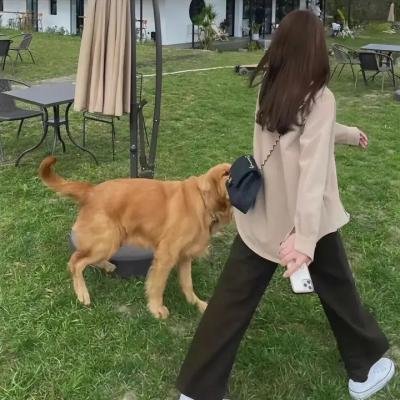 离婚风暴